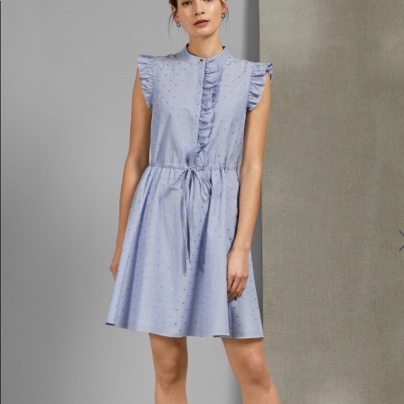 Ted Baker London Dresses & Skirts - Ted Baker London Beyonc stand collar ruffle dress